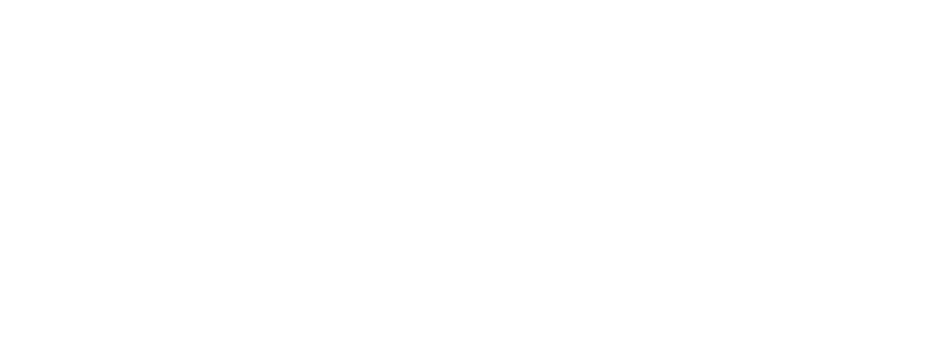 Oransi Logistics logo